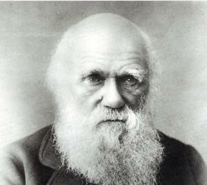 Чарлз Дарвин (часть 2)